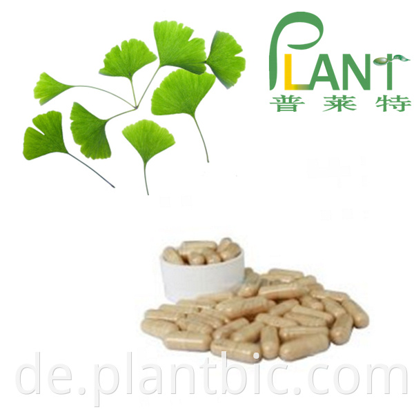 Ginkgo Biloba Extract Powder